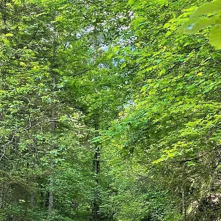 Σπίτι διακοπών Chalet Salzeder